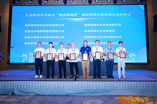 政企村協同共建，海南專項行動引領鄉村振興新篇章——陵水現場會圓滿召開